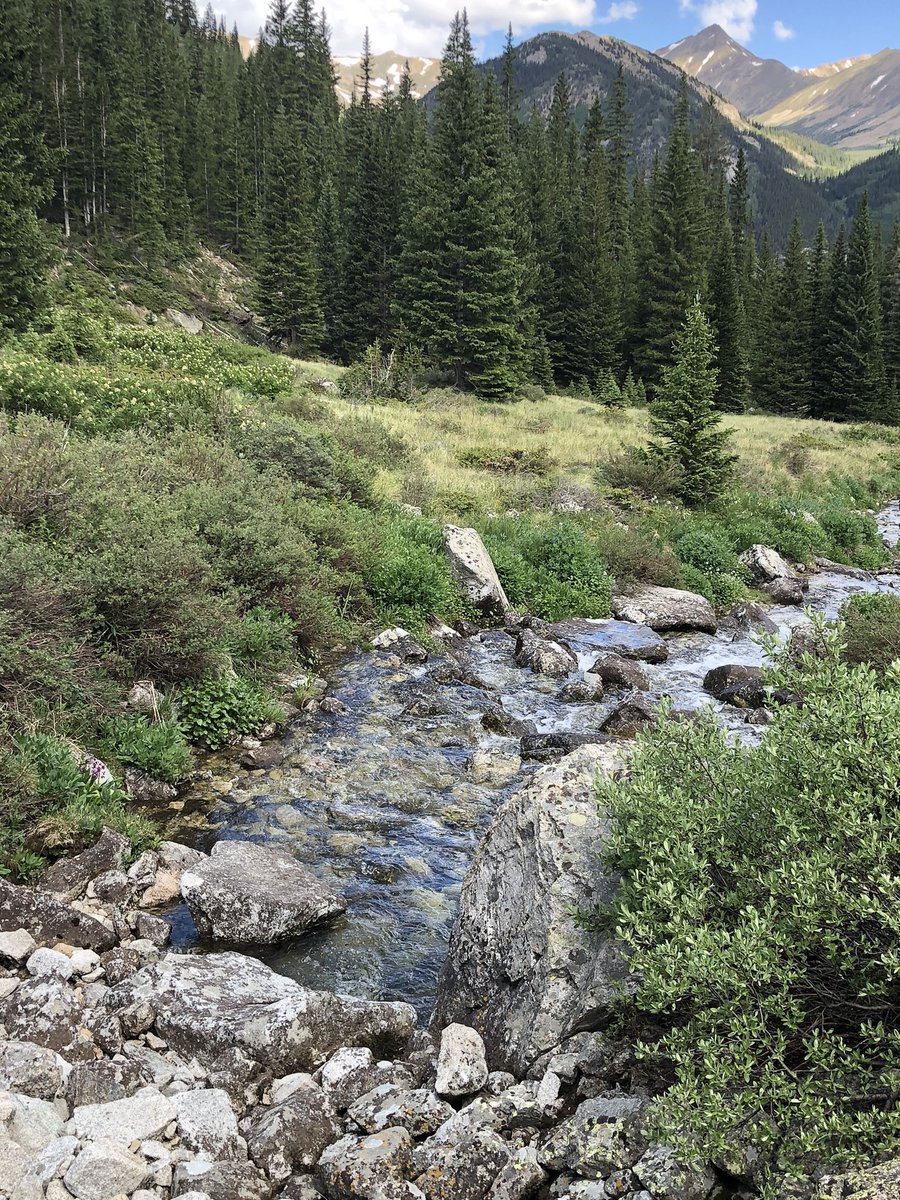 Melissa L Meeker tweet media