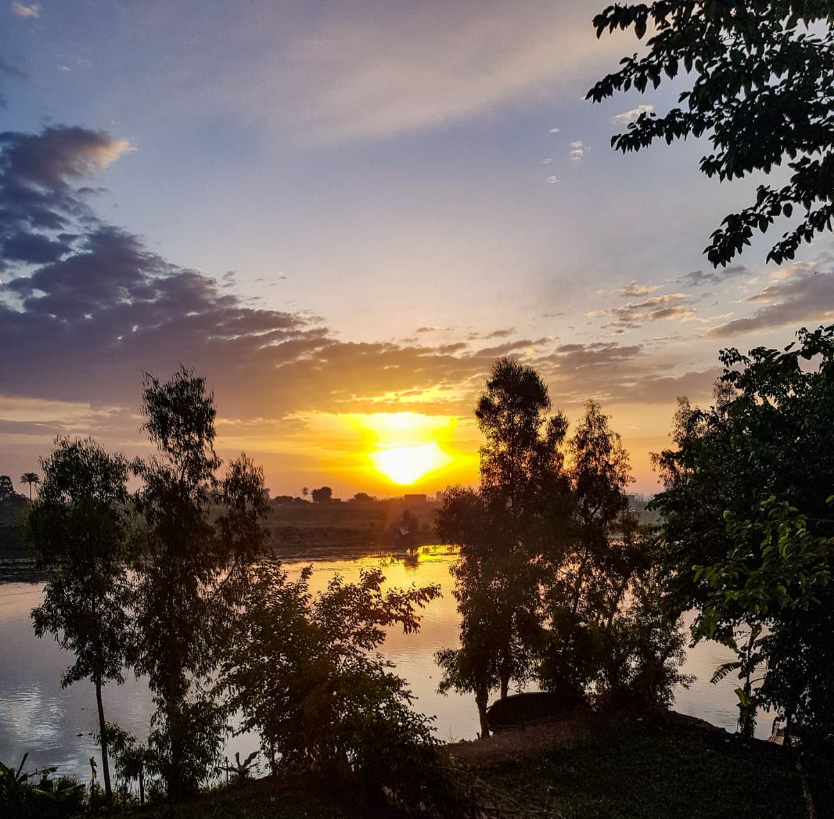 3ryoEng's tweet photo. Mobile photography all the way
Shot on Samsung galaxy note 8
Help to like, rate and RT
 on friday, July 3, 2020.
You can use this as your wallpaper if you want ❤️❤️
#photography https://t.co/thD276v4uz