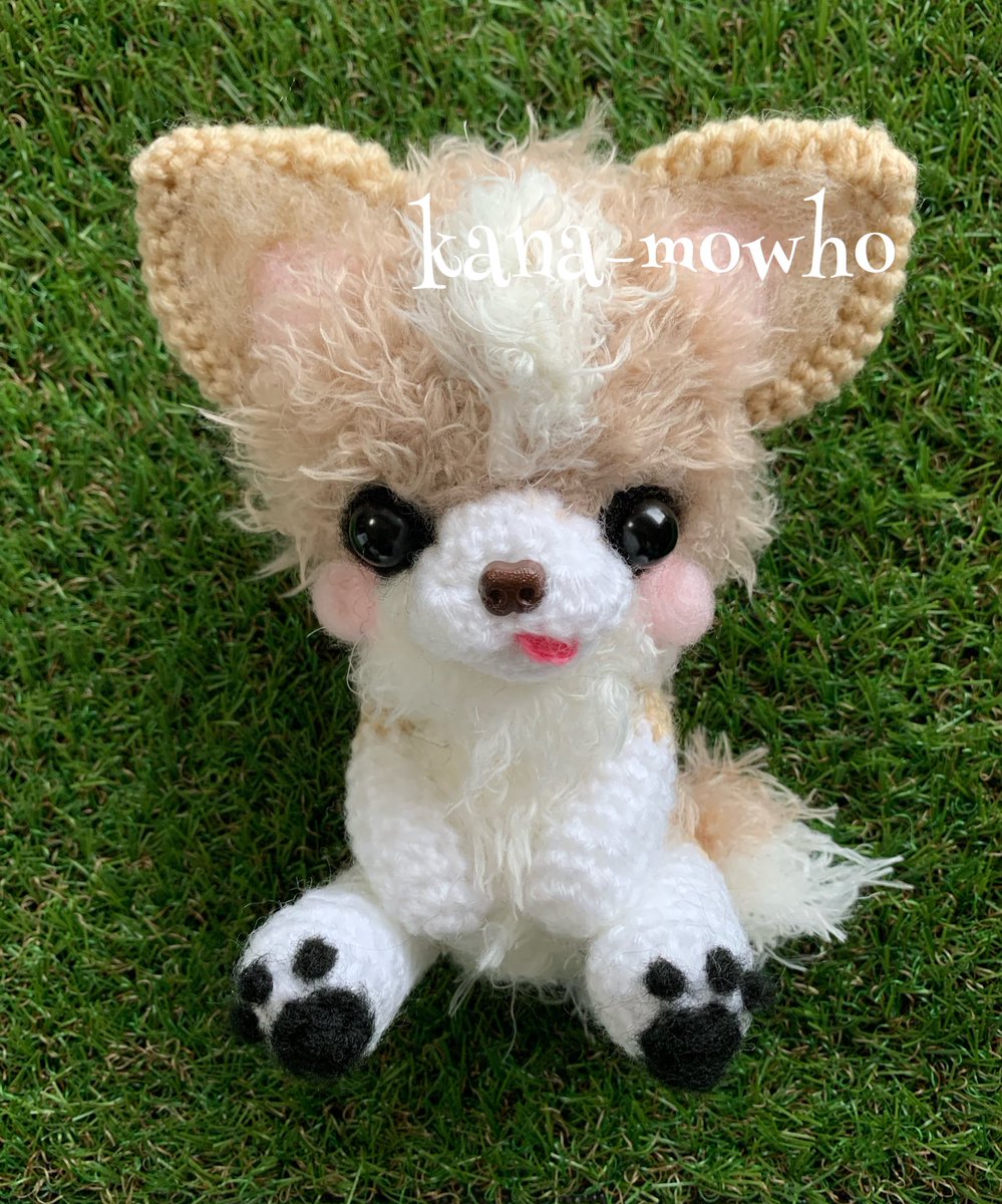 オーダーのチワワちゃん❤️ 雨ニモマケズ、ママの元へ向かいました