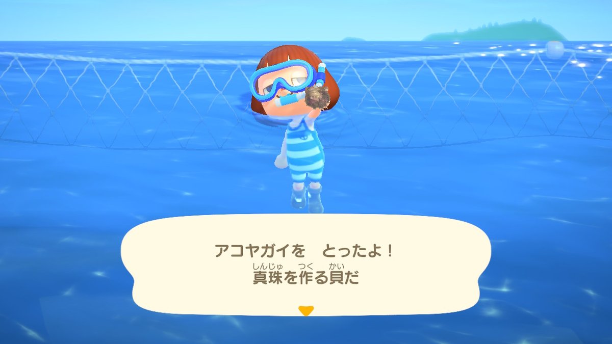 あつ森 しんじゅ 真珠 の入手方法と使い道 あつまれどうぶつの森攻略wiki 神ゲー攻略