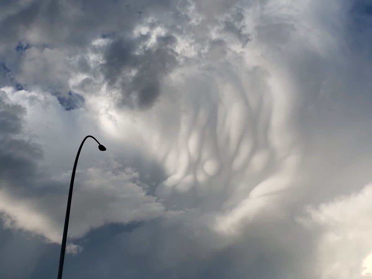 SWebner's tweet image. #abstorm #yyc