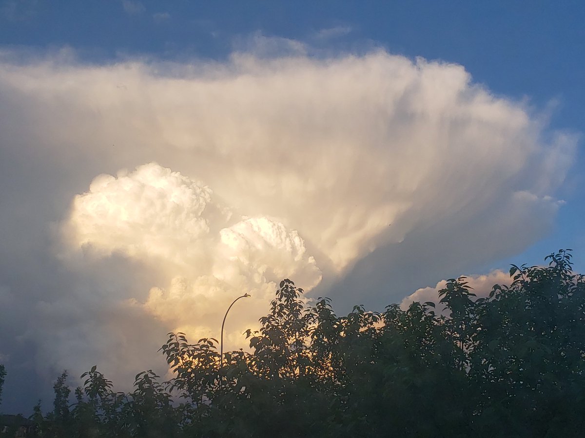 SWebner's tweet image. #abstorm #yyc