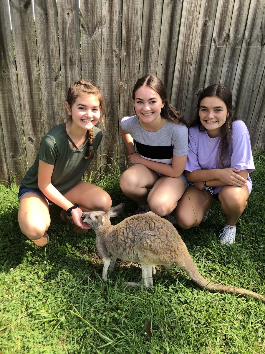 bethsmattingly's tweet photo. Getting up close and personal with nature- joeys, sloths, river otters and more! Recharged! https://t.co/IrWl2hUrPt
