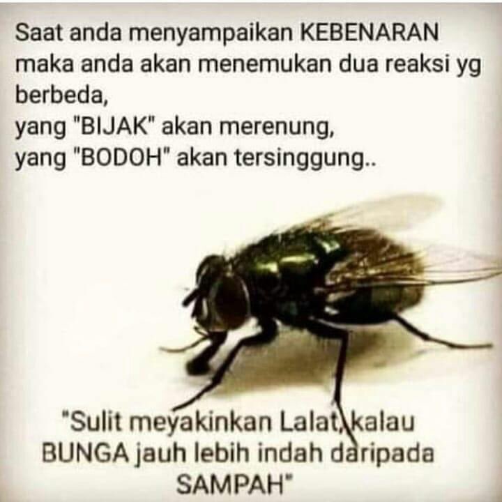 Dwinata28's tweet photo. #indosuryaPHKsepihak https://t.co/HgrDB1nvrU