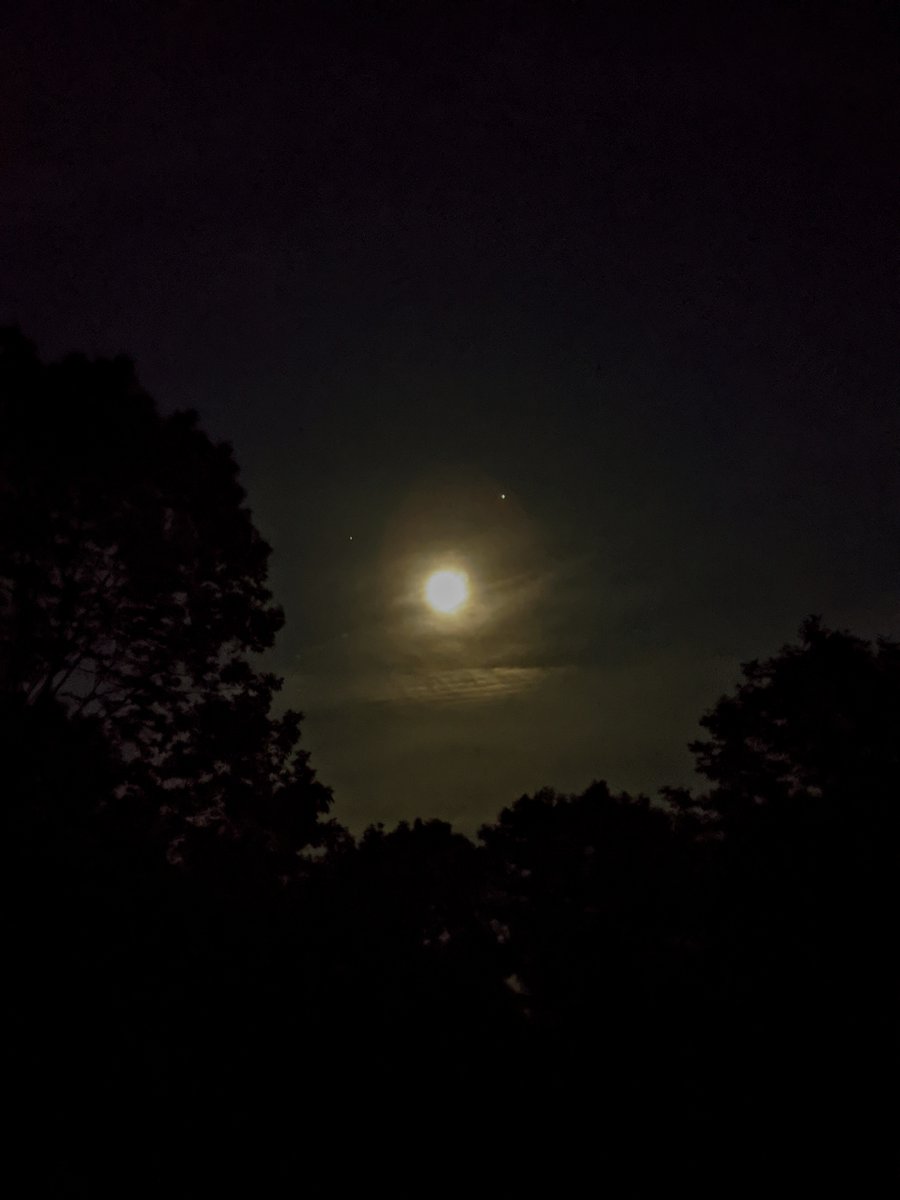 Aries_love417's tweet photo. ✨ BIG beautiful full moon out tonight 🌝 #sundaynightview #latenightthoughts #goodnightmoon https://t.co/pA9Ij2E3wb