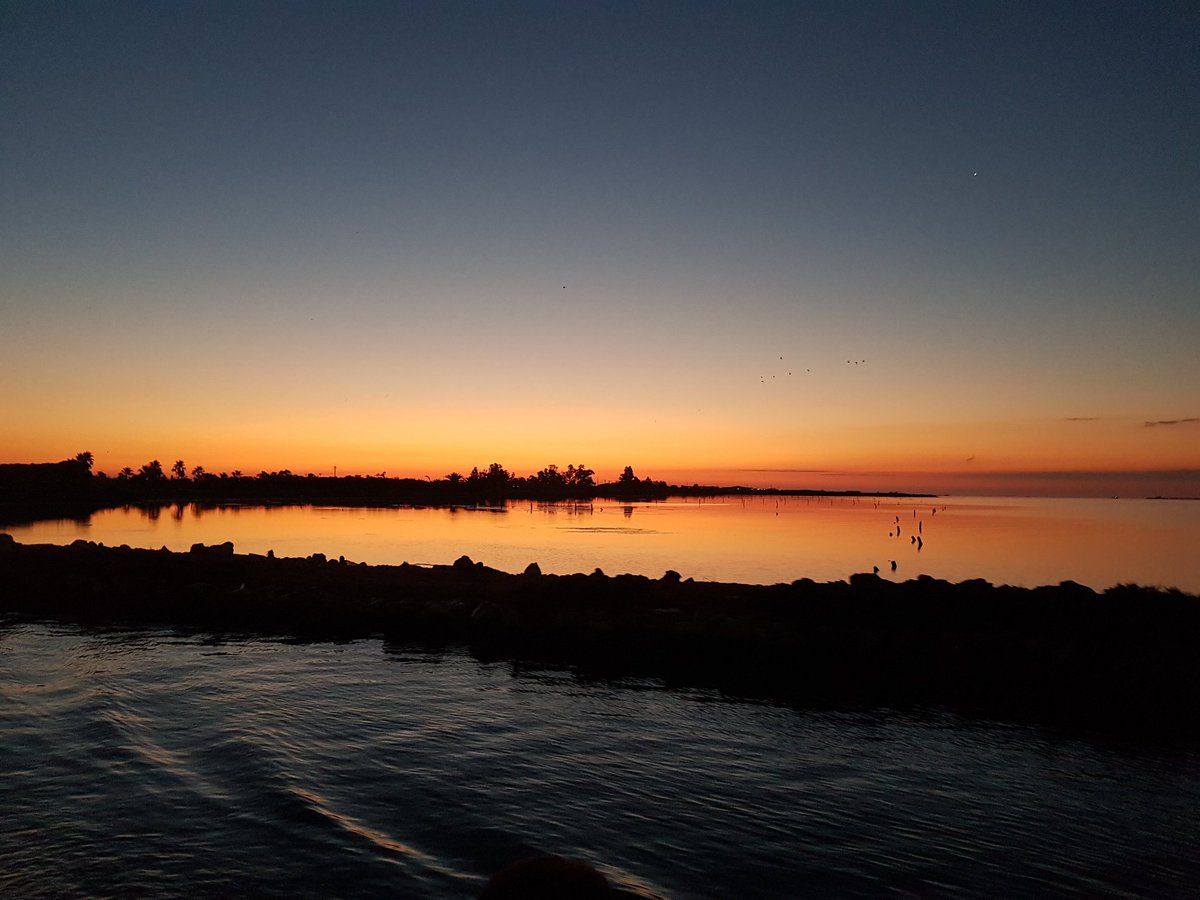 Musclodelta's tweet photo. Vistes espectaculars a la bahia dels Alfacs.
#musclo #delta #alfacs https://t.co/YN5Zq3RrF6