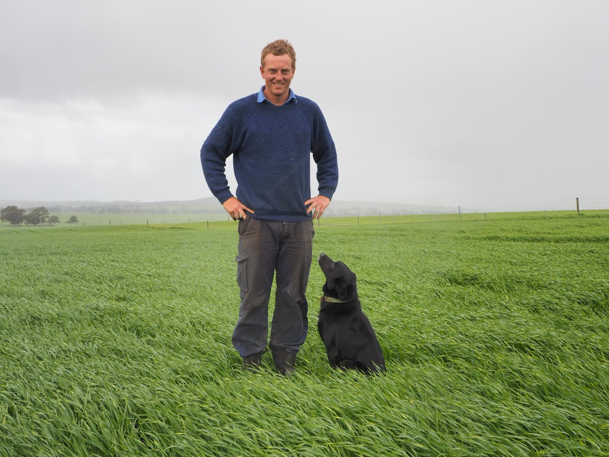 WMG_WA's tweet photo. NEW #PaddockChat ep feat. #Dandaragan farmer, @DuncanGlasfurd about the advantages of late season #soilamelioration🌱
~ Paddock prep &amp; management when ameliorating
~ Why @PlozzaPlows work for them
~ What to consider before digging in 
🎧Listen via link https://t.co/C6Gvg9gYgb https://t.co/vSKoOIY20Z