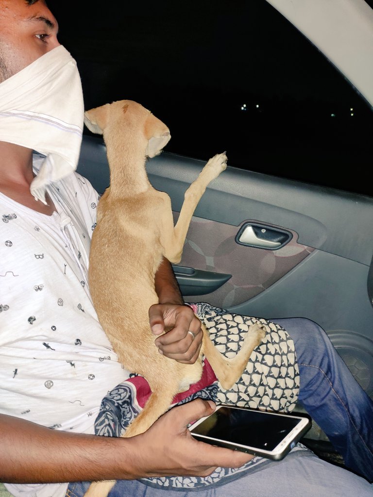 HelpingHandOrg6's tweet photo. Finally 'Bagha' safely go back to puri .
Thankuh so much @AWTEOdisha for ur support. https://t.co/W4fURkpgLY