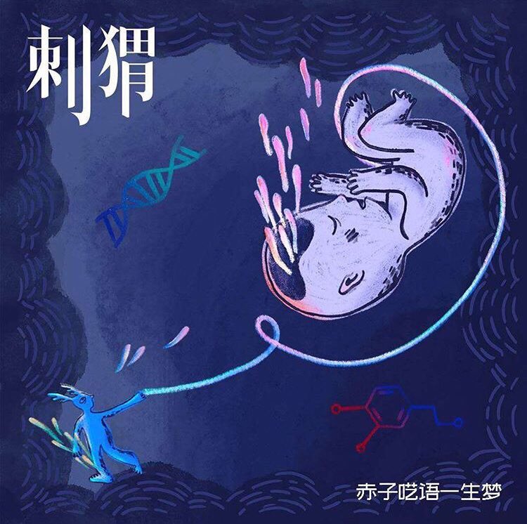 The Hedgehog’s first single 赤字呓语一生梦 from their upcoming new album is out recent days!
Apple music: hyperurl.co/n9xxyu
