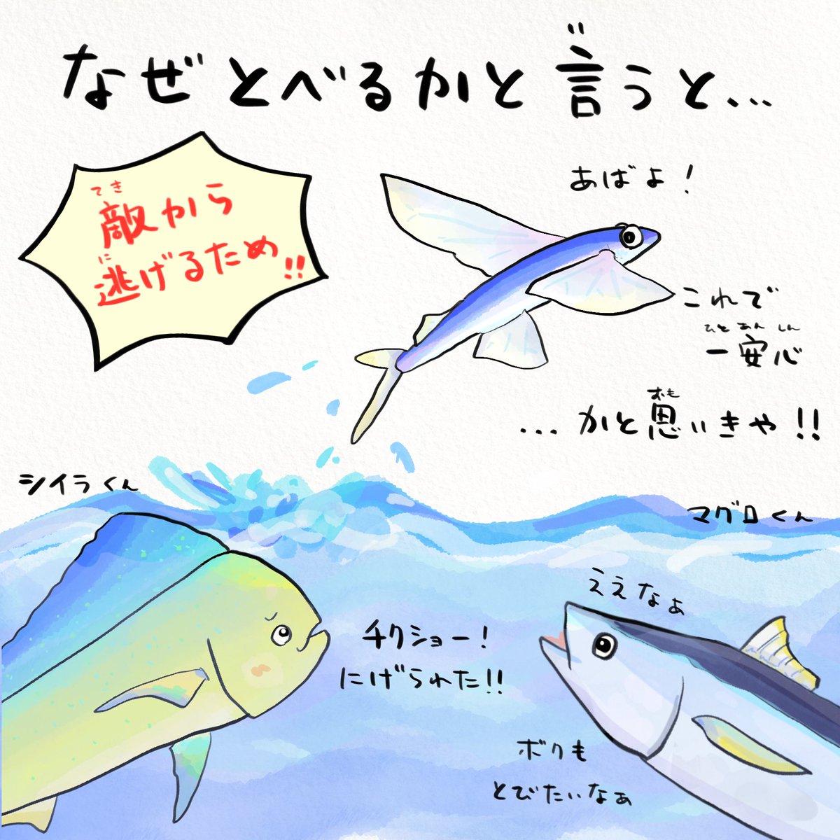 トビウオは飛びすぎると鳥に食べられちゃう 