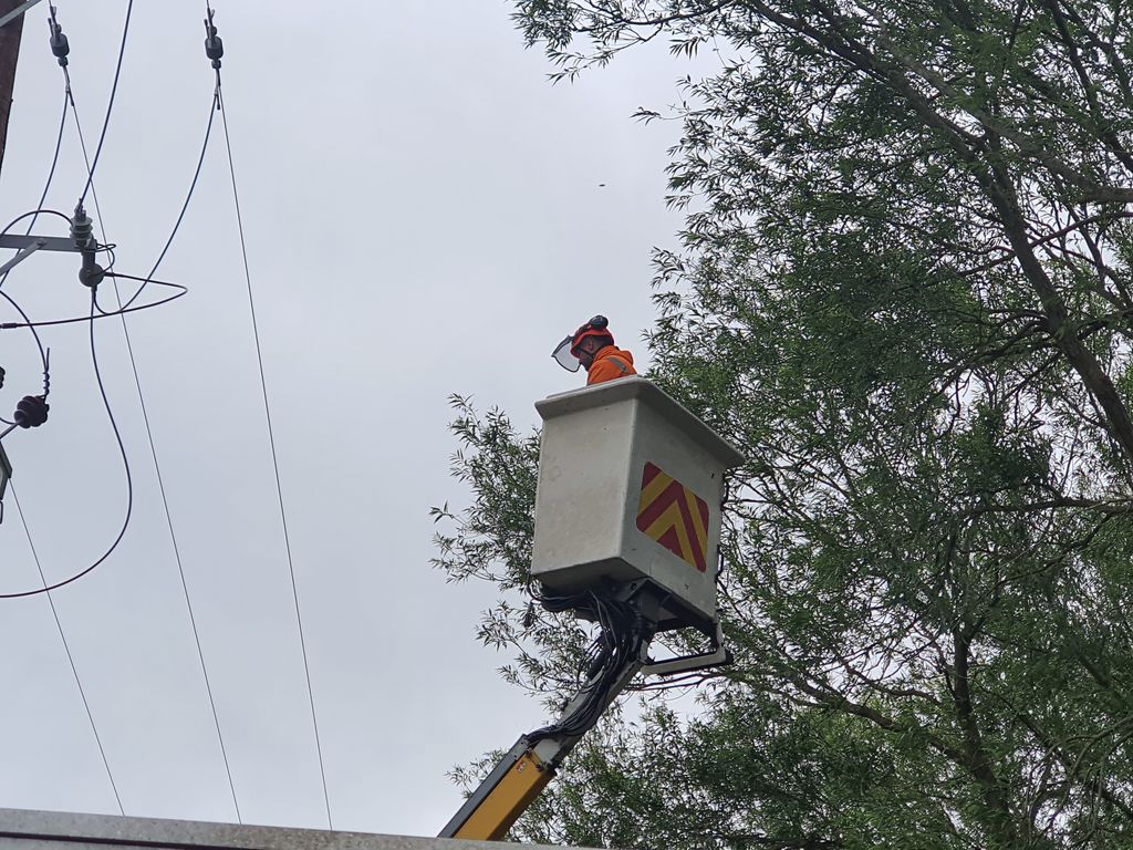 LtdWrekin's tweet photo. #treework #arborist #treefelling #treeremoval #tree #telford #wrekintreecareltd #treesurgeon #shropshire #arboristsofinstagram #arboristlife #arboristclimber #arboristequipment #arboriculture #arboristwork #treesurveying #treesurgeryuk #treesurgerylife https://t.co/9hiMCKfQlo