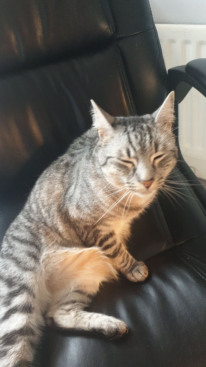 MackemAnth's tweet photo. Cheers Oscar for taking my seat and showing love to Sir @LennyHenry during the opening plenary at #IoFFC 2020....
๐๐๐๐๐
Great bloke ๐คฆโโ๏ธ
#PawsInConvention #CheersPal #MakeYourselfComfy #IOF https://t.co/fUeoGKeqW5