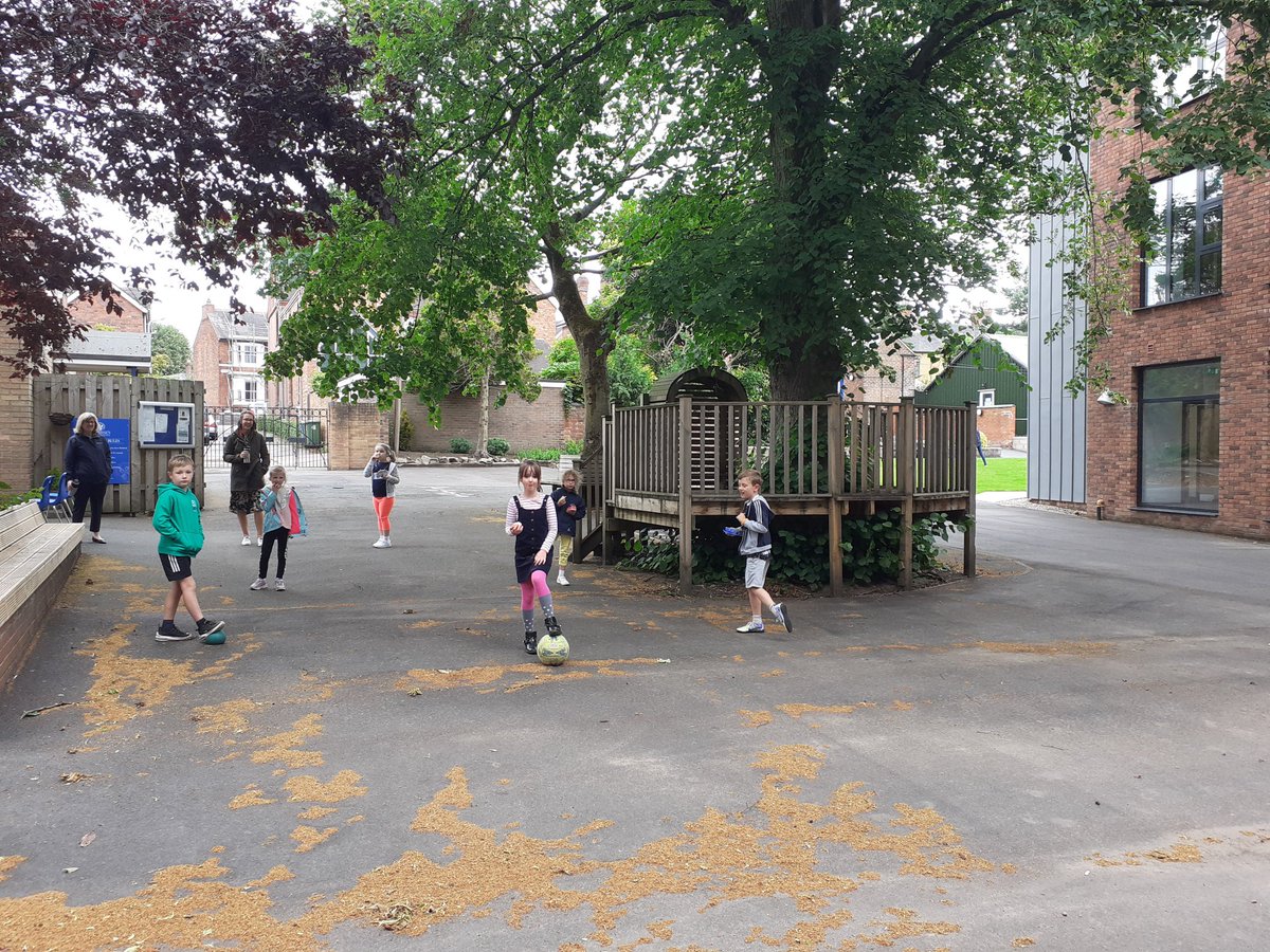 SDPHeadofPrep's tweet photo. It's great to see our playground looking a little more like it should. We welcome back P2 and P3 today for some time to be with their friends before the summer 🙂 https://t.co/1KDBVJAhOV