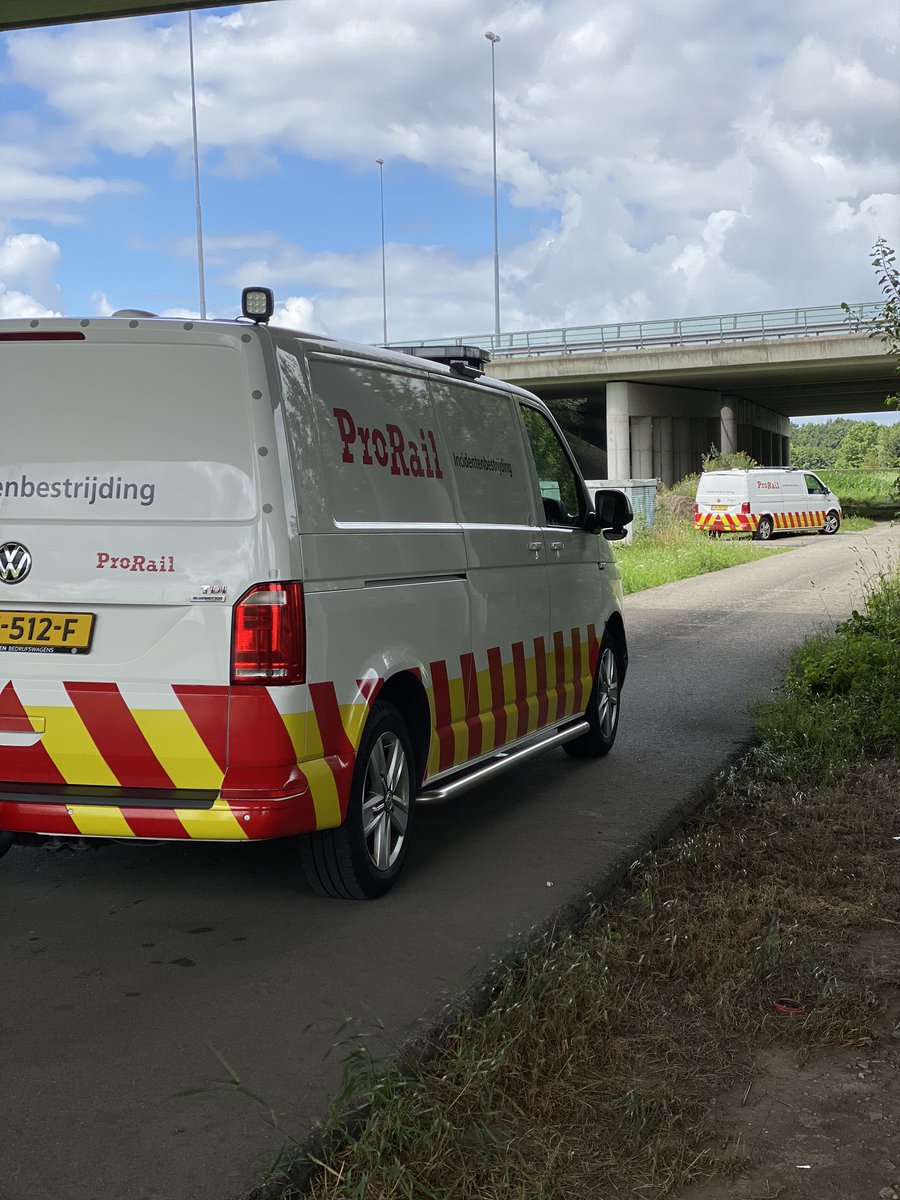 ICB'er_Tanja tweet media