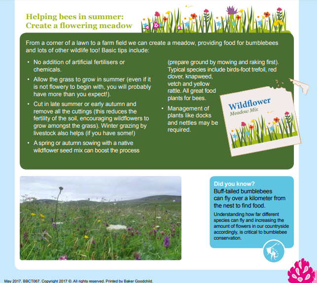 Whilst there's much campaigning to do for restoring meadows, you can make a meadow in your own garden. Even if it's a tiny square, a small bit of grass with daisies and dandelions will be a lifeline for your local bees.  @BuzzingWales  @BuzzingWales  https://www.bumblebeeconservation.org/wp-content/uploads/2017/08/BBCT067-FFCC-Meadow-06.17.pdf