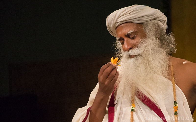 SadhguruJV's tweet photo. Human beings need entertainment to hide their madness. If they were perfectly sane, they could just sit and watch the Flower blossom. #SadhguruQuotes https://t.co/pS3o13odH9