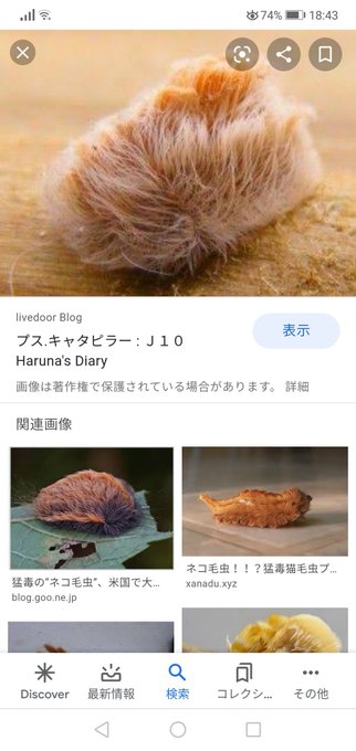 サキラさん と Unta0430 のやりとり 1 Whotwi グラフィカルtwitter分析 サキラさん と Unta0430 のやりとり 1 Whotwi グラフィカルtwitter分析