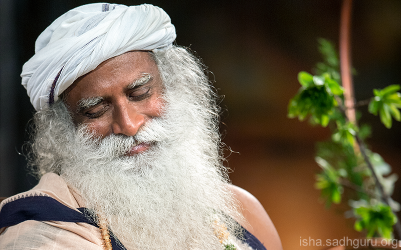 The very life within you is longing to be Blissful, because Blissfulness is the nature of the source of creation. #SadhguruQuotes