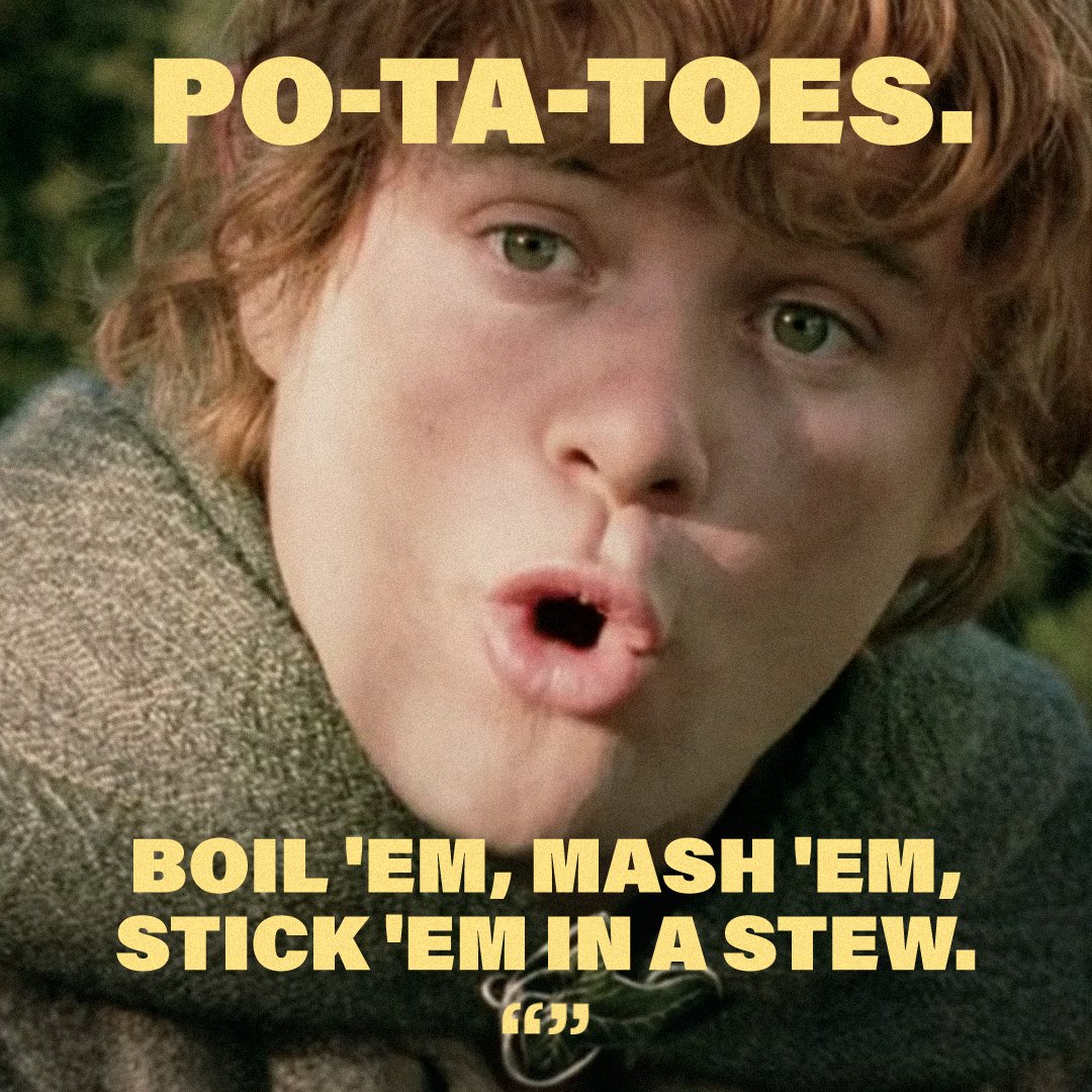 Samwise reminding us that the possibilities are endless., image size:1080x1080