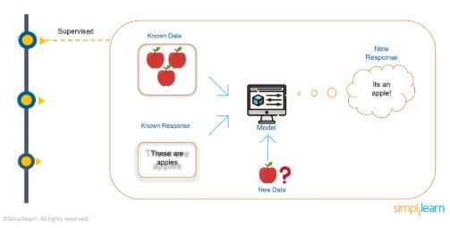 #MachineLearning Tutorial: Types, Usecases and Choosing the Right One 

buff.ly/37qcUQ1 v/ <a href="/simplilearn/">Simplilearn</a>
#AI
Cc <a href="/MarshaCollier/">Marsha Collier</a> <a href="/jblefevre60/">Jean-Baptiste Lefevre</a> <a href="/JonathanAufray/">Jonathan Aufray 🚀</a> <a href="/chboursin/">Christine Boursin 🌐</a> <a href="/ArnaultChatel/">Arnault Chatel</a> <a href="/GeoffAlexander1/">Geoff Alexander</a> <a href="/WbconsHd/">WBCONS-hd Business</a> <a href="/MarinePsct/">Marine Pescot</a> <a href="/fbrsd/">Flore Brossard⚡️</a> <a href="/alicevachet/">Alice Vachet</a>