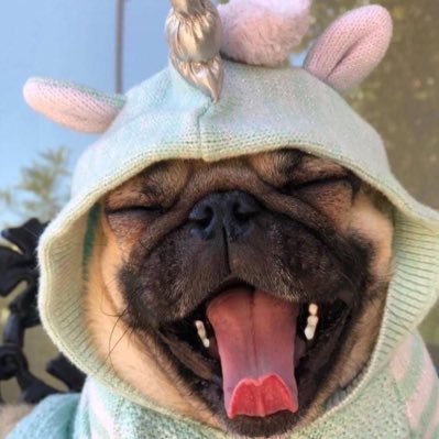 #NuevaFotoDePerfil
