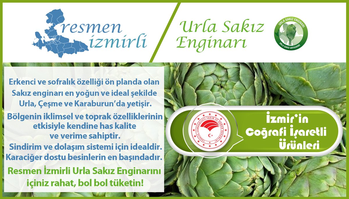 izmirtarim's tweet photo. #Karaciğer'in en iyi dostu... 
Hele bir de #İzmir'in #bereketli topraklarında yetişmişse...
Karşınızda "Resmen İzmirli" #UrlaSakızEnginarı

#Coğrafiİşaret #SakızEnginarı https://t.co/jMhx8YEnHr