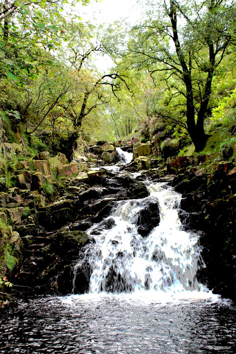 cottage1863's tweet photo. Continuing with my Cottage A-Z of the #NorthPenninesAONB @NorthPennAONB we have....
The wonderful #Blackburn near Midgeholme.
My fave is #Beldon Burn and Shields...of course...
The South Tyne at #Bellister Bridge near Featherstone Castle. https://t.co/u3lXA5XMXk