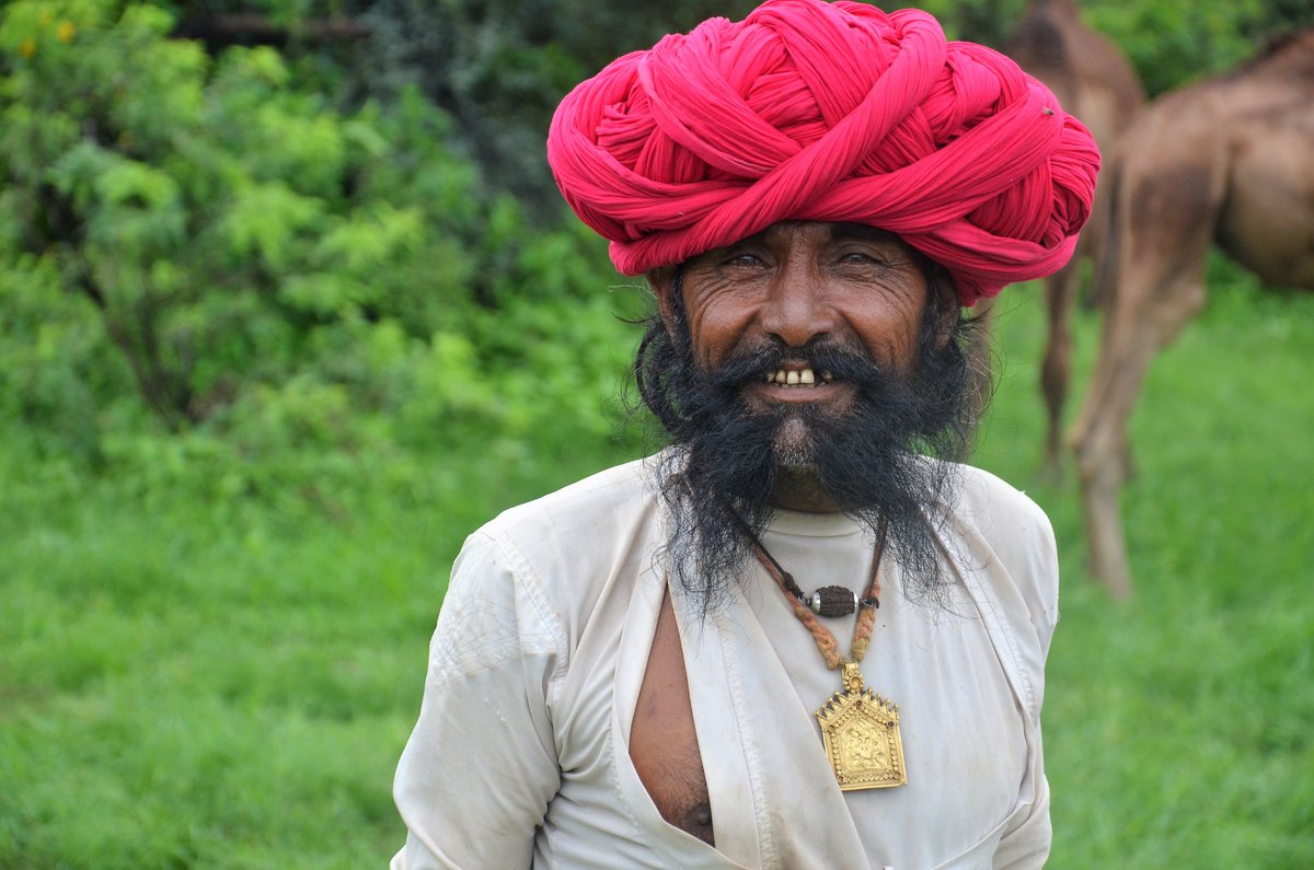 IlseKohler's tweet photo. Rajasthan is fortunate to still have such camel guardians who look after herds despite the odds. Meet this Bhopa from near Sadri who looks after a herd of about 20 camels. https://t.co/QdZSo2aZS0