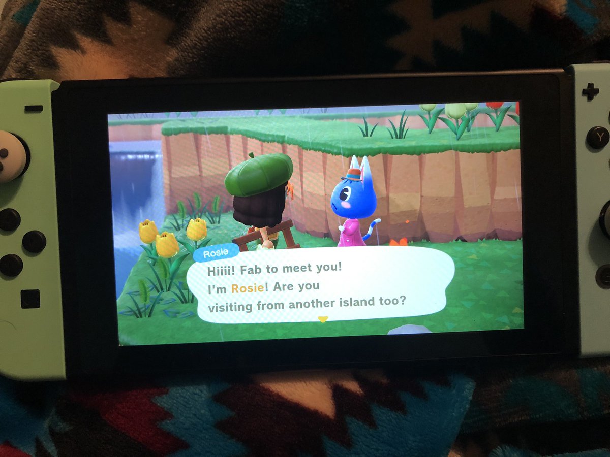 I moved on!58) miss Rosie! I’d snatch her right up if I didn’t already have her amiibo