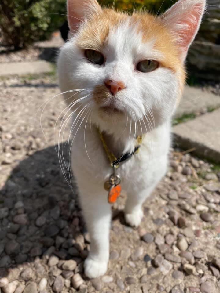 We’re holding a Tabletop Sale in the Square #Shrewsbury on Saturday 25th July.

We’d be grateful for #donations of New &amp; Nearly New items in good condition to help raise funds. No clothes or shoes. Please call/text Carol on 07860620931 to arrange drop off or collection #ThankYou