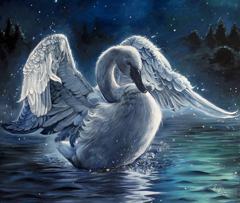 willowswhisp's tweet photo. Richard the Lionheart is said to have brought the first swans to England after the Crusade, and for centuries swans have been royal property. A person’s ‘swan song’ - his final work - derives from the belief that a swan will sing only once - just before they die #MythologyMonday https://t.co/2eg5DlfSRn