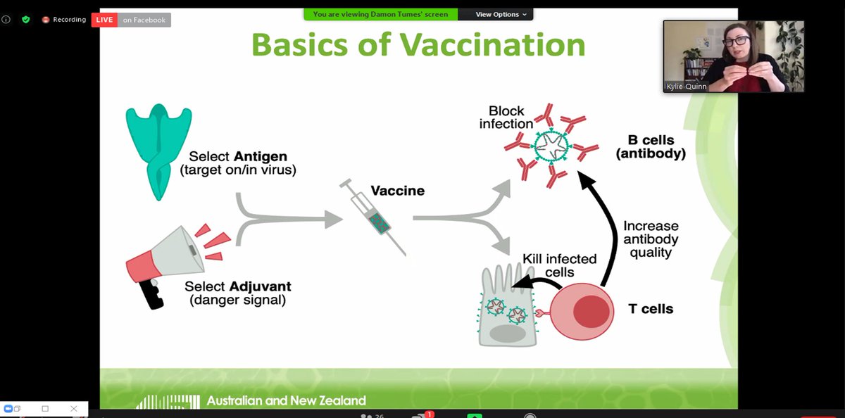 ASImmunology's tweet photo. We're live!  @DrQuinn4realz is getting us all up to scratch with the basics of how a vaccine works. #ASIFireside #Immunology #Vaccines https://t.co/5yKRfK6FkO
