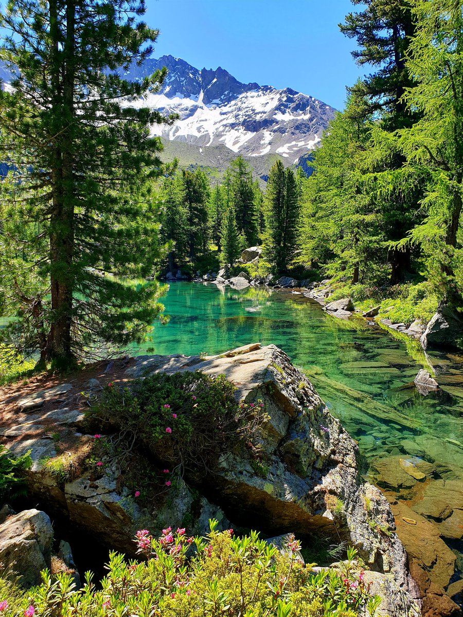 Look at the colour of Lagh Viola 😍

#hikingswitzerland #valdacamp #inlovewithswitzerland