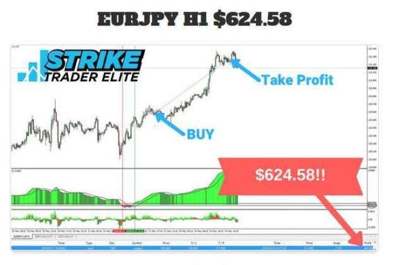 "This guide will highlight all the important steps you need to trade with the Strike Trader Elite Trading Strategy
bit.ly/2Vaso68

#affiliatemarketing, #InternetMarketing , #digitalmarketing #onlinemarketing #WorkAtHome  #makemoneyonline #jvzoo #StrikeTraderElite"
