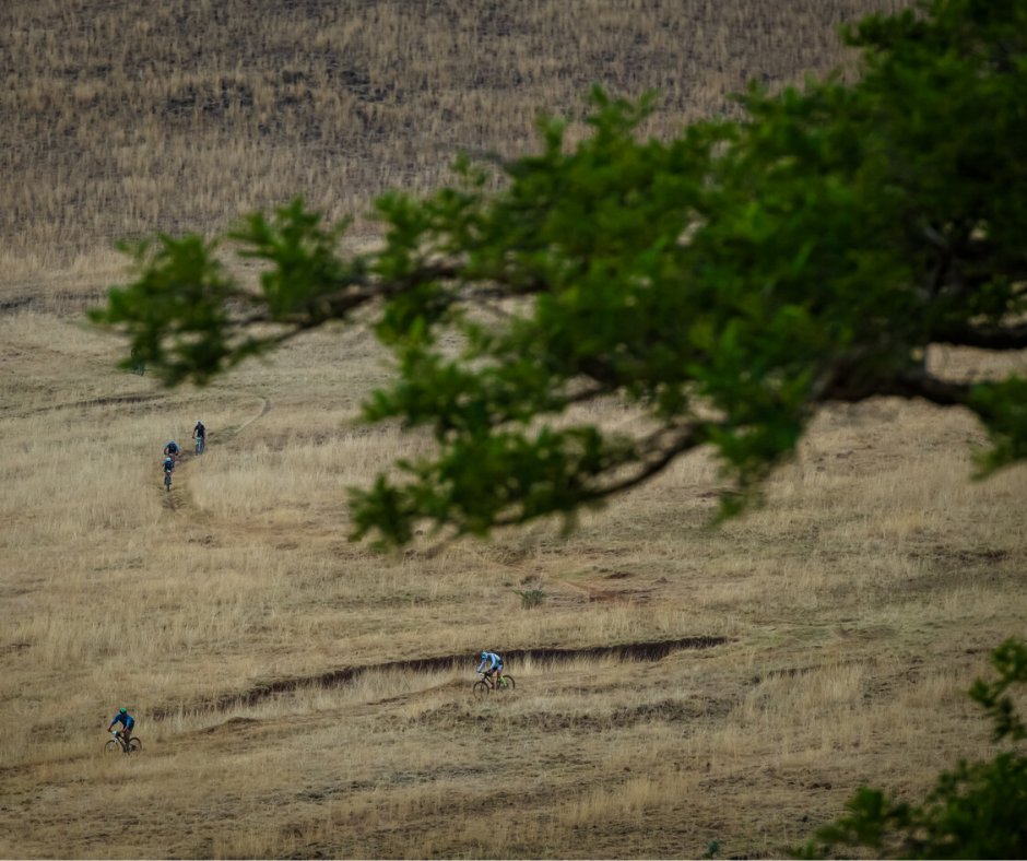 Our events offer a solo or a team option for the 3 day events. Which do you prefer and why?