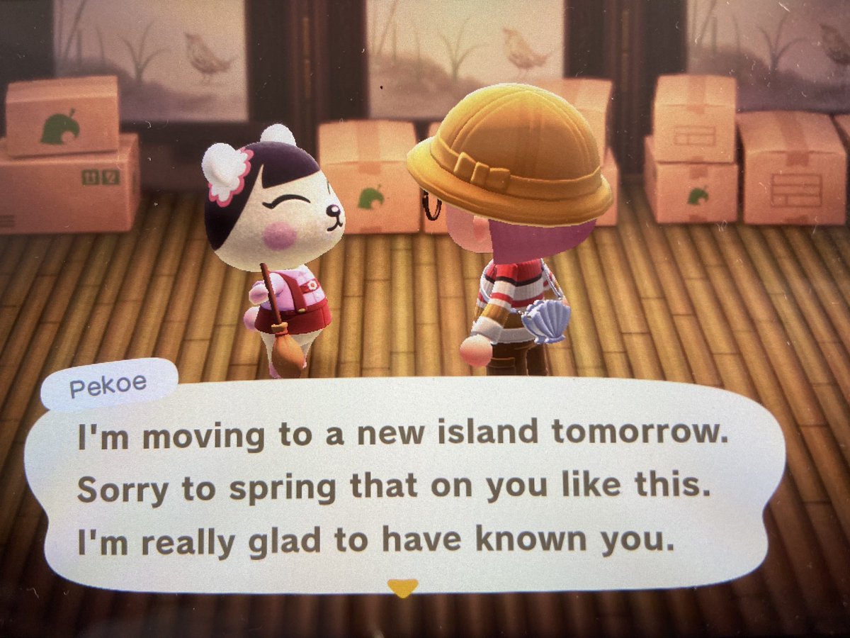 tartayrus's tweet photo. pekoe is in boxes on my other island dm me if interested :) #ACNH #AnimalCrossingNewHorizons #acnhvillagertrade https://t.co/ZL2tJqrcIQ