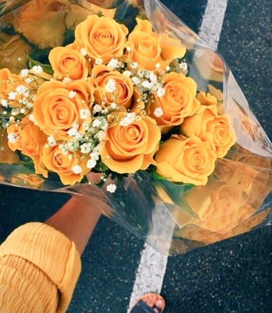 جرعـة من الإيجابيـة💛🧡
لا تفقد عزيمتك
مهما تعثرت في طريقك
لاتنسى أن الله وضع فيك ما يعينك على تخطي أزماتك
لاتركز على سقوطك
وتنسى تحقيق أهدافك
كل ألم وسقوط وخيبة ليست عبثا في حياتك
هي بصيرتك وحكمتك ومصدر إلهامك
ستتخطى كل همومك وصعوباتك
تذكر أن الله معك بكل حالاتك💚
#صباح_الخيرᅠ