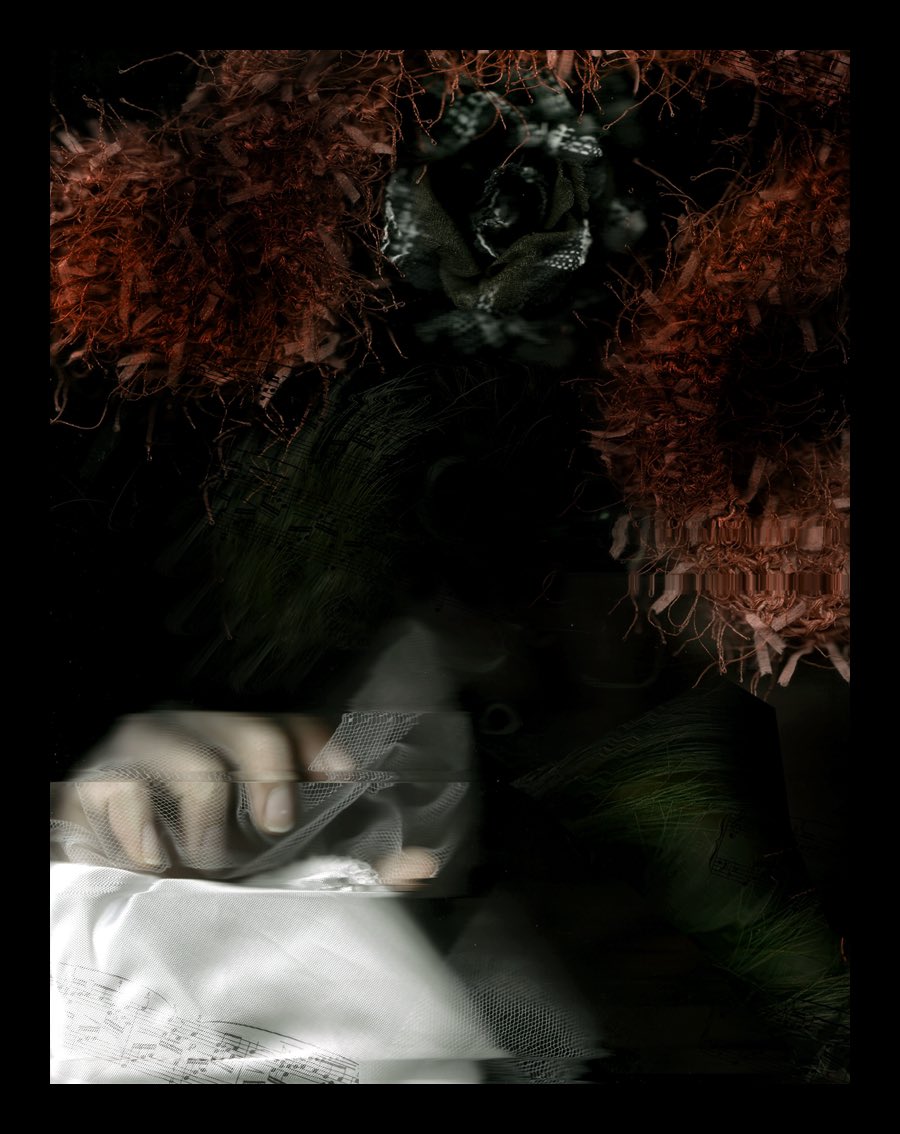 sophie xie tweet media