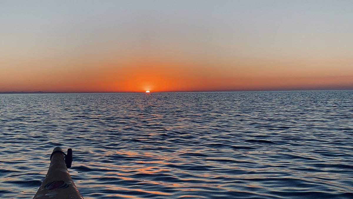 montsecastella's tweet photo. Bon dia des del mig de la mar, 
lo sol als ulls i la lluna al clatell. 

#kaiac #piragua #deltadelebre #reservadelabiosfera #sunshine https://t.co/JyHaknAH2T