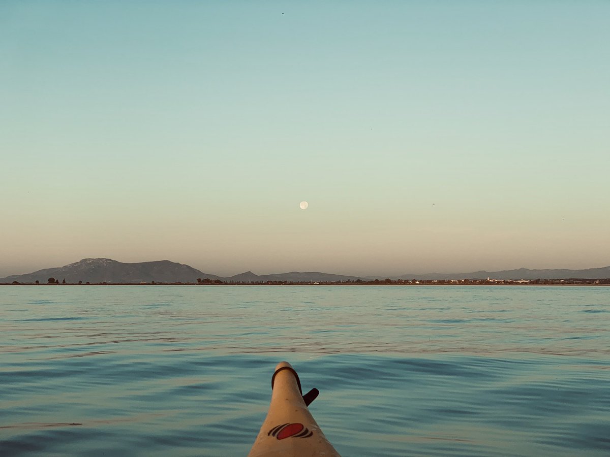 montsecastella's tweet photo. Bon dia des del mig de la mar, 
lo sol als ulls i la lluna al clatell. 

#kaiac #piragua #deltadelebre #reservadelabiosfera #sunshine https://t.co/JyHaknAH2T