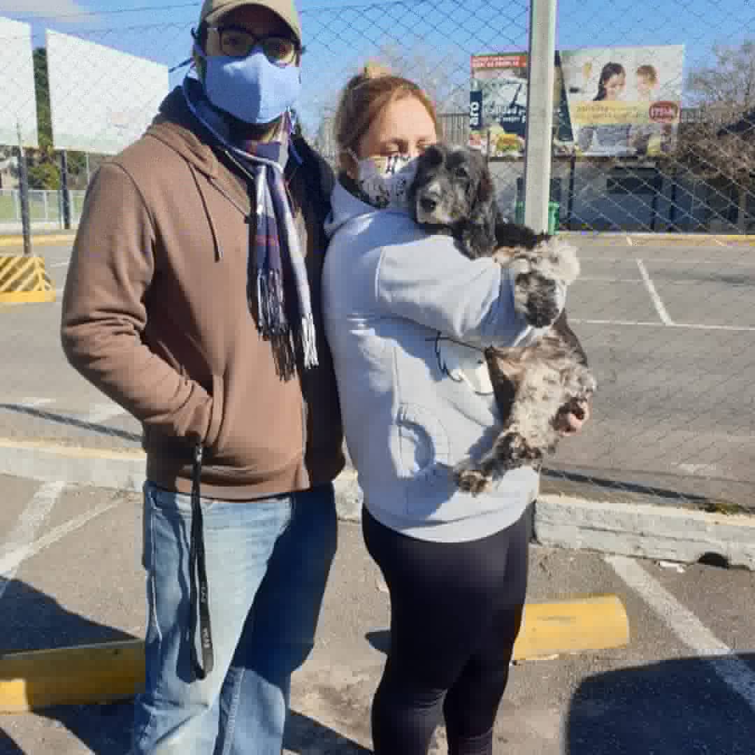 Amor de Perro 🐶 tweet media