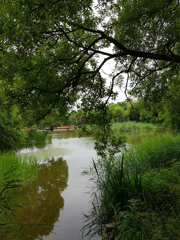 H. D. Kang 행복비결 tweet media