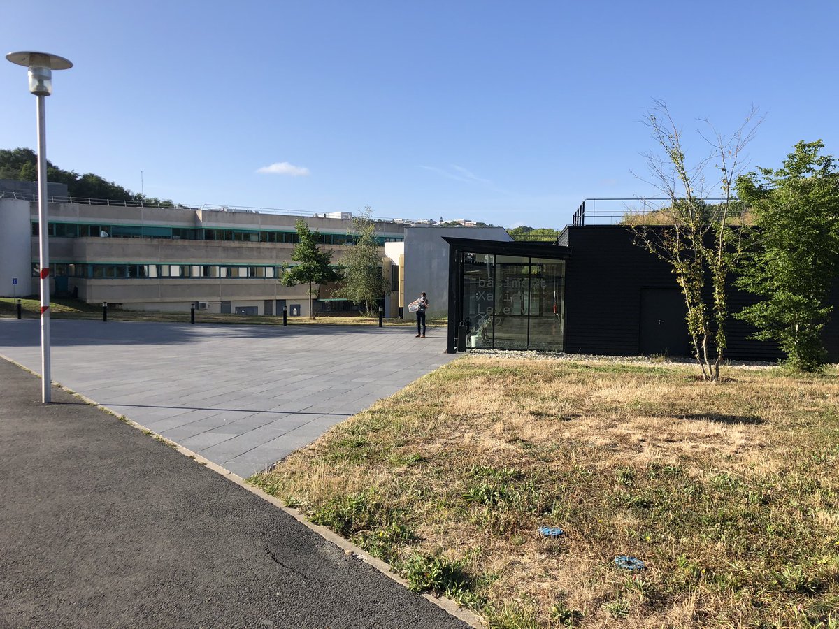 INRAE_MICALIS's tweet photo. Aujourd’hui est le premier jour d’une nouvelle phase de deconfinement ; c’est aussi le premier jour de notre tout nouveau compte Twitter #MICALIS. Abonnez-vous! Bienvenue et soyez prudents! https://t.co/HizSwV2SsV