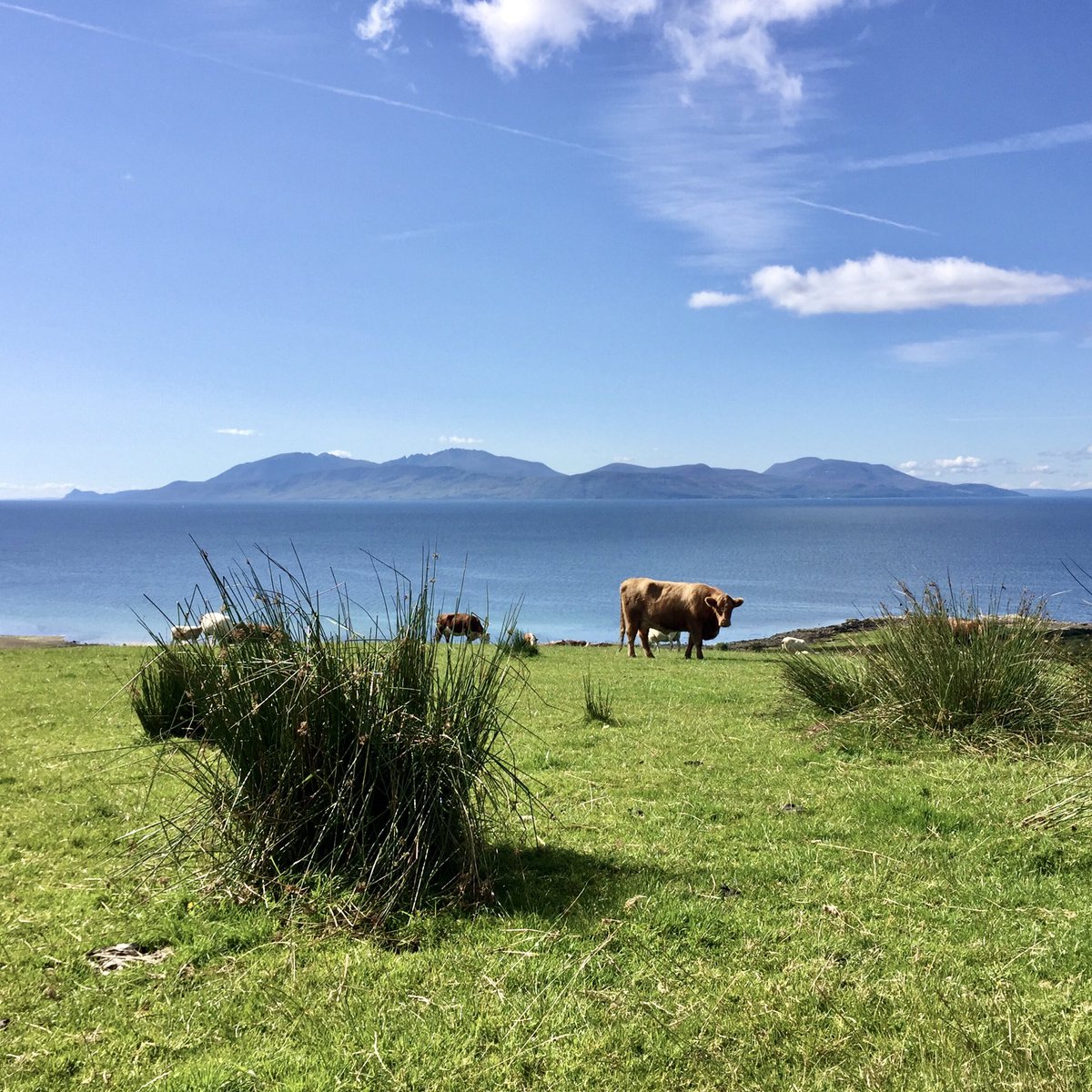 As we prepare to welcome you back to the Secret Coast, we’d like to remind you of all the different areas which make up this magical place.  Today, we’re taking you to pretty Millhouse and the spectacular Ardlamont Peninsula.