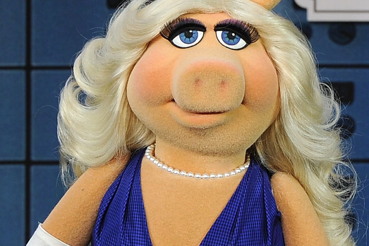 anonbit99298163's tweet photo. @tanamongeau aka miss piggy, where’s your support for shane sis?? after everything he’s done for you. #FAKEFRIEND #shanedawson #tanamongeau https://t.co/NaGx5okssF