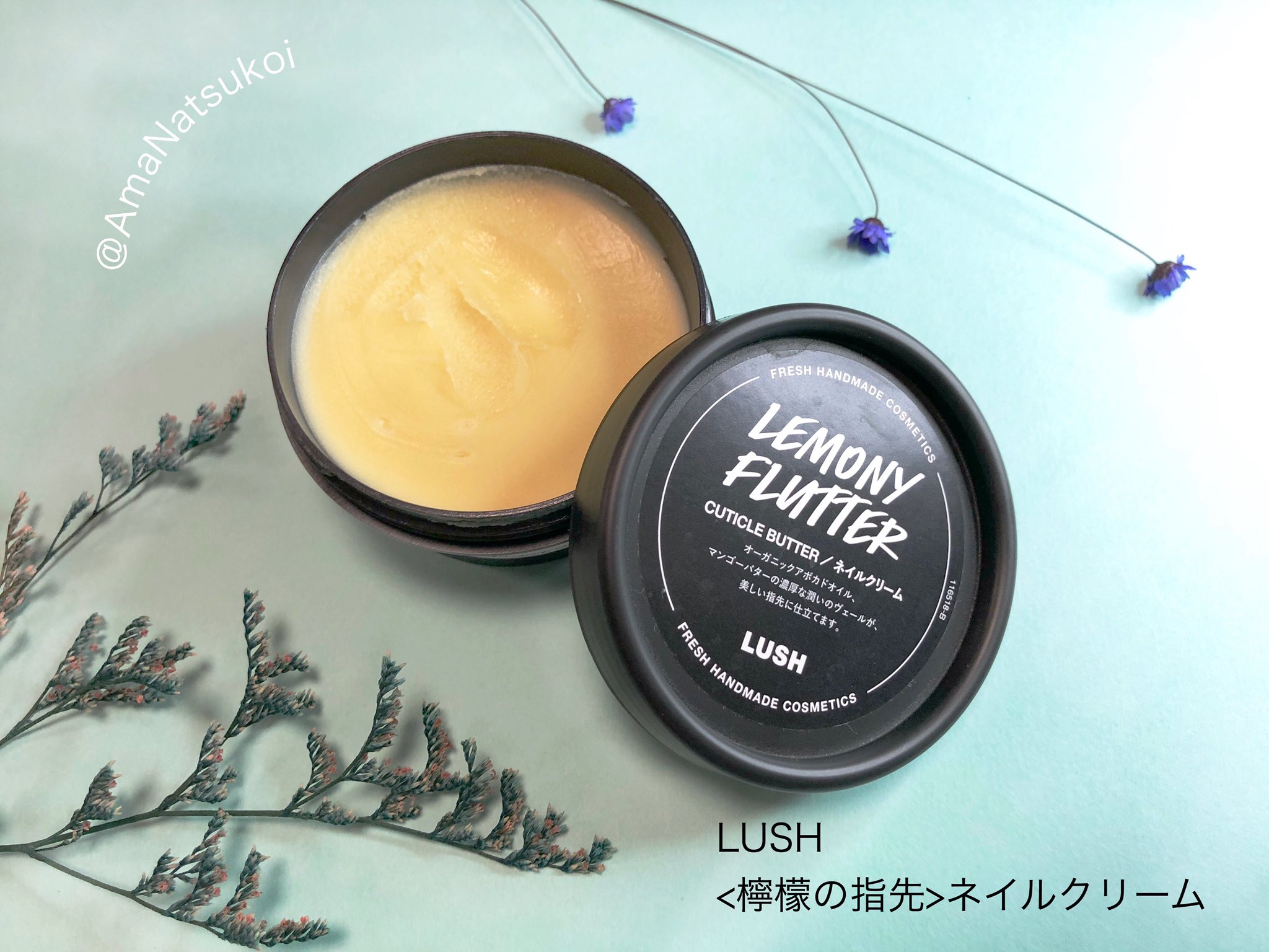 あまなつ 前日に檸檬の指先を塗ってその後翌日の夕方までそのままハンドクリーム等のケアをせず 何度も手を洗ったのに夕方気づいた時に爪がしっかり保湿され続けてて凄いと思ったので 撮る直前にオイル塗って誤魔化してませんよ という意味で 何も