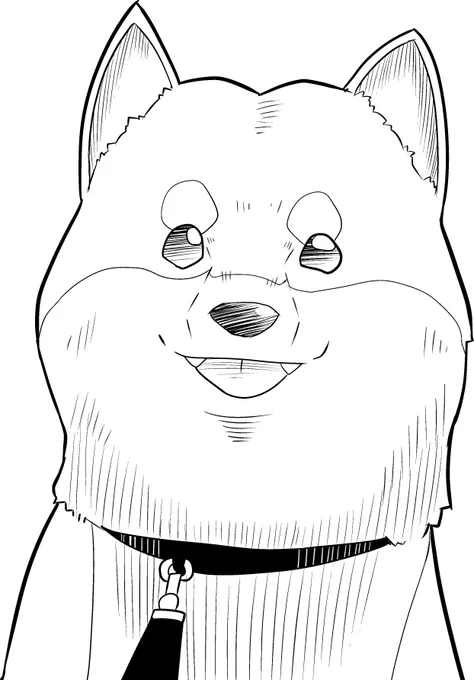 しばばばーん。
作業は3分の1戦が終わり、ふんばる。 