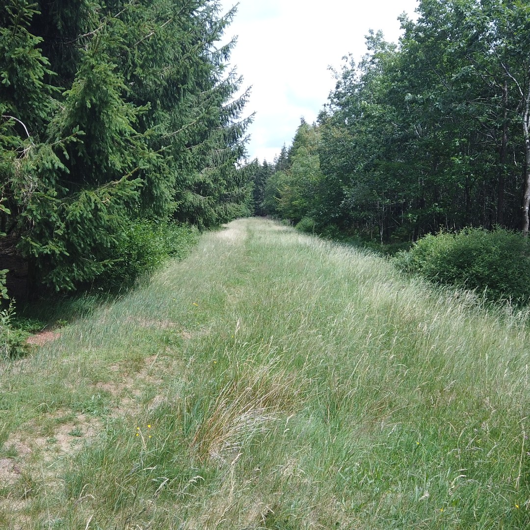 GazorTrail's tweet photo. https://t.co/ex6oZt2xEI #exploring #valley #backcountry #bush #backpack #hiking #camping #tent #walking #camping #trails #trailgazor #views #amazing #nature #forest #village #germany #belgium #border https://t.co/XOR6KA87SI