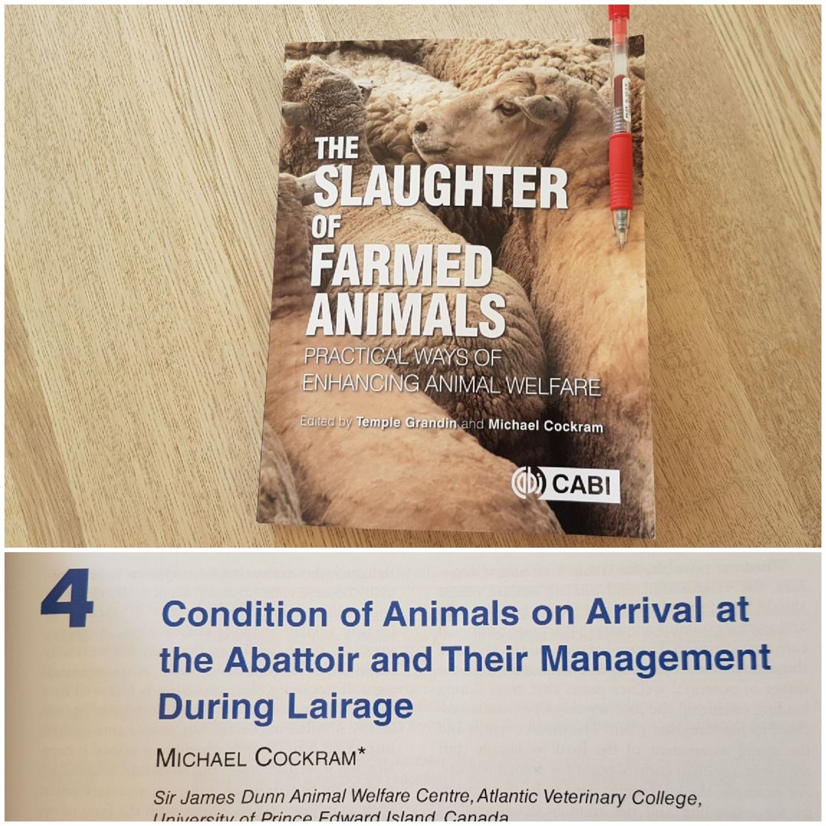 HerskinMette's tweet photo. My treat for these windy days: this new book edited by Temple Grandin and Michael Cockram - and especially chapter 4, covering #FitnessForTransport and #Lairage - with a lot of focus on #CullAnimals ๐ค https://t.co/qyYjQPqOB6
