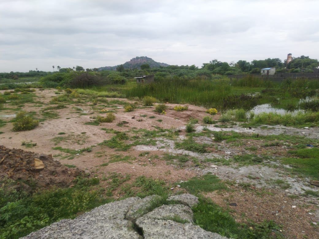 Kiran Bandi tweet media